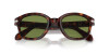 Persol PO 0060S (24/4E)