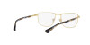 Persol PO 1001V (515)