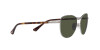 Persol PO 1002S (513/31)