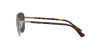 Persol PO 1002S (513/31)