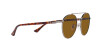 Persol PO 1011S (513/33)