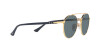 Persol PO 1011S (515/3R)