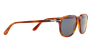 Persol PO 3019S (96/56)