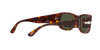 Persol PO 3307S (24/31)