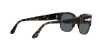 Persol Tom PO 3319S (1071R5)