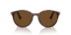 Persol PO 3350S (24/57)