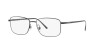 Ralph Lauren RL 5113T (9007)