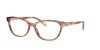 Ralph Lauren RL 6204 (5875)