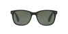 Ralph Lauren RL 8162P (500152)