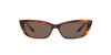 Ralph Lauren RL 8173 (500773)