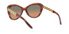 Ralph Lauren RL 8184 (500718)