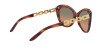 Ralph Lauren RL 8184 (500718)