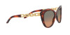 Ralph Lauren RL 8184 (500718)