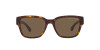 Ralph Lauren RL 8205 (500373)