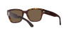 Ralph Lauren RL 8205 (500373)