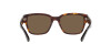 Ralph Lauren RL 8205 (500373)