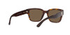 Ralph Lauren RL 8205 (500373)