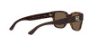 Ralph Lauren RL 8205 (500373)