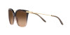 Ralph Lauren RL 8209 (602274)