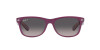 Ray-Ban New Wayfarer RB 2132 (6606M3)