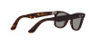 Ray-Ban Wayfarer RB 2140 (1382R5)