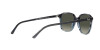 Ray-Ban Leonard RB 2193 (138171)