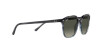 Ray-Ban Leonard RB 2193 (138171)