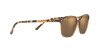 Ray-Ban Leonard RB 2193 (663693)