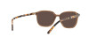 Ray-Ban Leonard RB 2193 (663693)