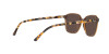 Ray-Ban Leonard RB 2193 (663693)