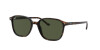 Ray-Ban Leonard RB 2193 (902/31)