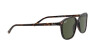 Ray-Ban Leonard RB 2193 (902/31)