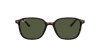 Ray-Ban Leonard RB 2193 (902/31)