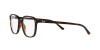 Ray-Ban Leonard RB 2193 (902/GH)