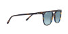 Ray-Ban Elliot RB 2197 (13563M)