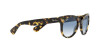 Ray-Ban Orion RB 2199 (13323F)