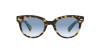 Ray-Ban Orion RB 2199 (13323F)