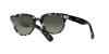 Ray-Ban Orion RB 2199 (133371)