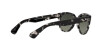 Ray-Ban Orion RB 2199 (133371)