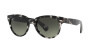 Ray-Ban Orion RB 2199 (133371)