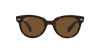 Ray-Ban Orion RB 2199 (902/57)