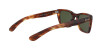 Ray-Ban Caribbean Legend Gold RB 2248 (954/31)