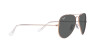 Ray-Ban Aviator RB 3025 (9202B1)