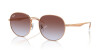 Ray-Ban RB 3727D (9202I8)