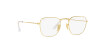 Ray-Ban Frank RB 3857 (001/GH)