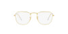 Ray-Ban Frank RB 3857 (001/GH)