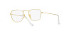 Ray-Ban Frank RB 3857 (001/GH)