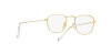 Ray-Ban Frank RB 3857 (001/GH)