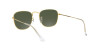 Ray-Ban Frank Legend Gold RB 3857 (919631)