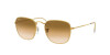 Ray-Ban Frank RB 3857 (919651)